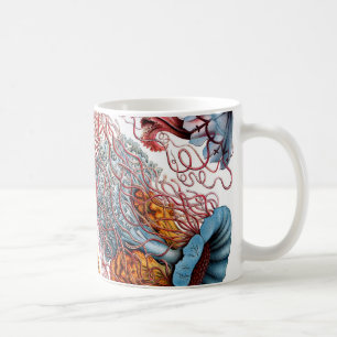 Taza De Café Medusas de Ernst Haeckel Discomedusae