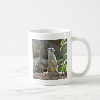 Taza De Café Meerkat