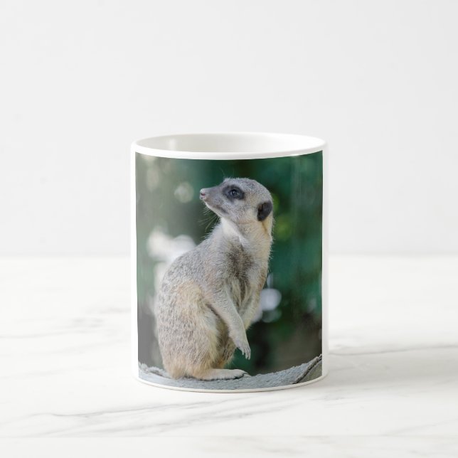 Taza De Café Meerkat_2015_0103 (Centro)