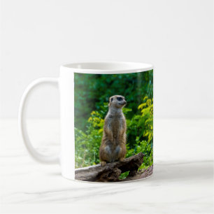Taza De Café Meerkat Mug