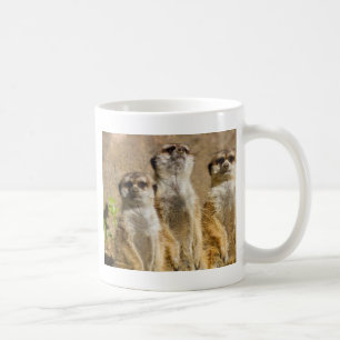 Taza De Café Meerkats