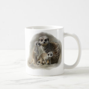Taza De Café meerkats