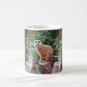 Taza De Café Meerkats animal
