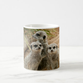 Taza De Café Meerkats en el puesto de observación
