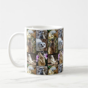 Taza De Café Meerkats En Un Collage de fotos,