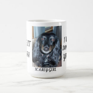 Taza De Café Memorial Conmovedor para Fur Baby con una Foto y N