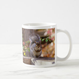 Taza De Café Mendigar café ardilla Mug