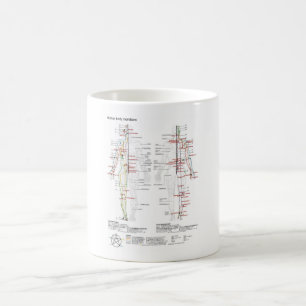 Taza De Café Meridianos chinos esquemáticos de MUG Cuerpo de mu
