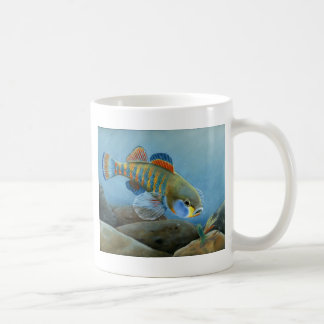 Taza De Café MES Jenkins 2008 1721 high064