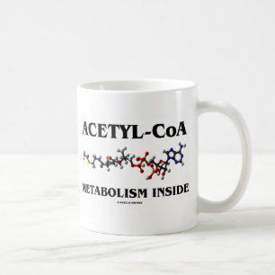 Taza De Café Metabolismo de Acetil-CoA dentro de la Molécula Qu