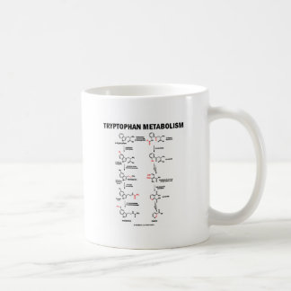 Taza De Café Metabolismo del triptófano (química)