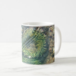 Taza De Café Meyers Beach North, Gold Beach, Oregon