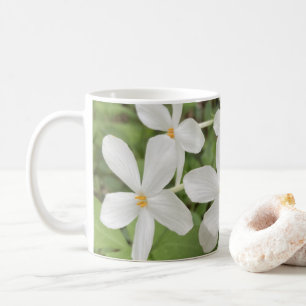 Taza De Café Mezcla fotográfica verde blanco