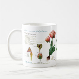 Taza De Café ¡mi tulipán!