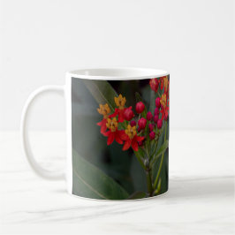 Taza De Café Milkweed tropical