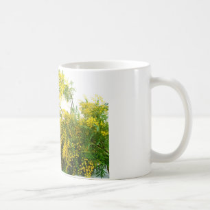 Taza De Café Mimosa