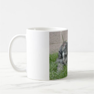 Taza De Café min schn sal y cachorro de pimienta