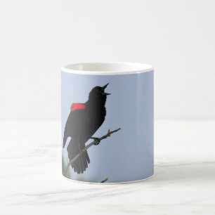 Taza De Café Mirlo de alas rojas