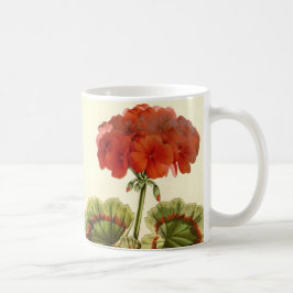 Taza De Café 'Miss Pollack' Zonal Geranium