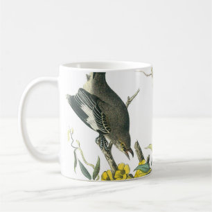 Taza De Café Mockingbird del norte por Audubon
