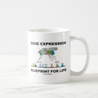 Taza De Café Modelo de la expresión génica para los genes de la