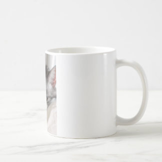 Taza De Café Moira (gato) Foto