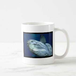 Taza De Café Mola 001 del Mola del Sunfish