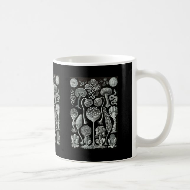 Taza De Café Moldes de limo (Derecha)