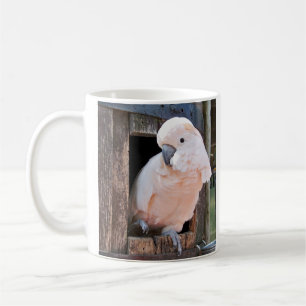 Taza De Café Moluccan Cockatoo