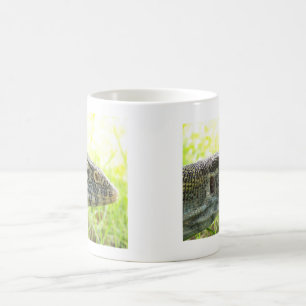 Taza De Café Monitor del Nilo