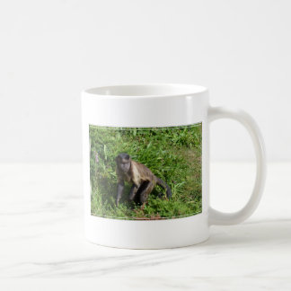Taza De Café Mono del capuchón que asalta para la cámara