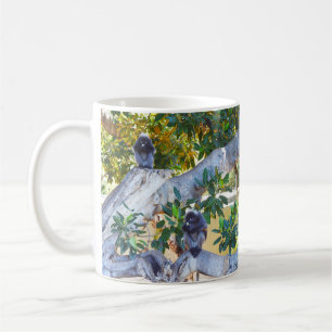 Taza De Café Monos de Langur Negro comiendo, tazón de café