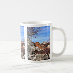 TAZA DE CAFÉ MONTAÑA HARE