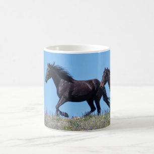 Taza De Café Montaña Pryor Café Mustang Wild