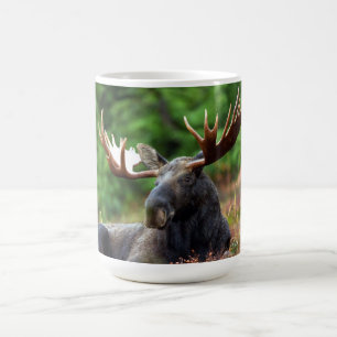Taza De Café Moose Coffee Mug