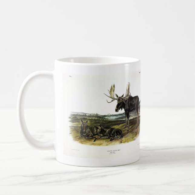 Taza De Café Moose Deer (Moose - Alces alces) de Audubon (Izquierda)