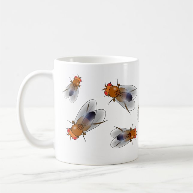 Taza De Café Mosca de la fruta - Drosophila melanogaster mug (Izquierda)