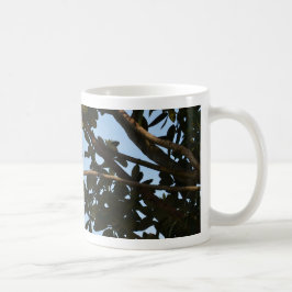 Taza De Café Mosquitero común