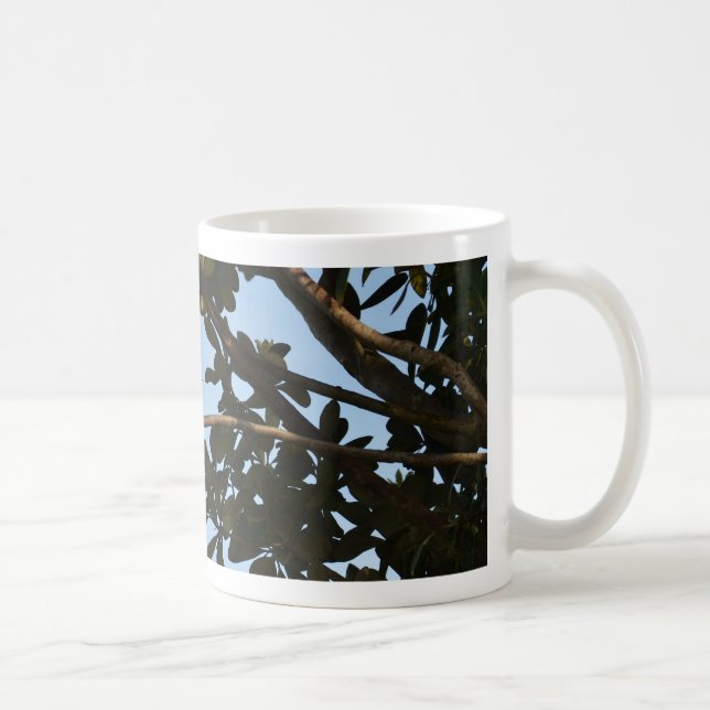 Taza De Café Mosquitero común (Derecha)