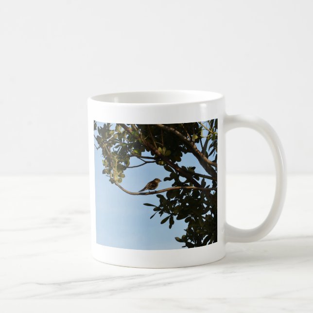 Taza De Café Mosquitero común (Derecha)
