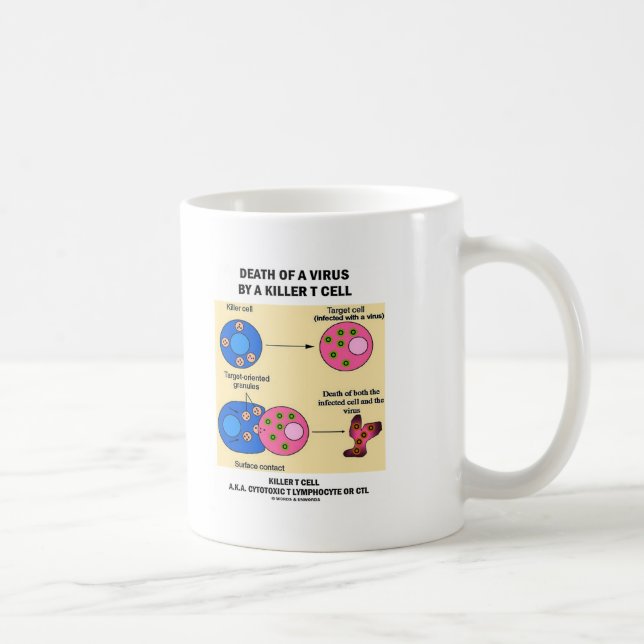 Taza De Café Muerte de un virus por un linfocito T del asesino (Derecha)