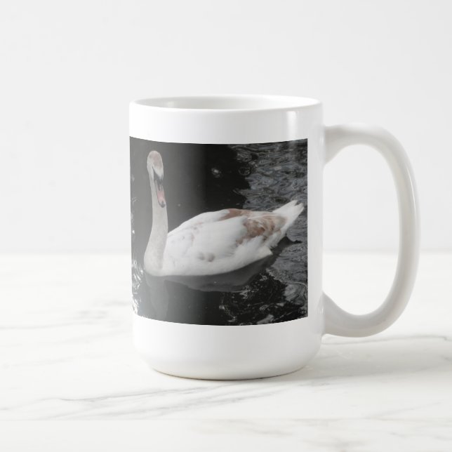 Taza De Café Mug Baby Swan Natación (Derecha)