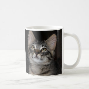 Taza De Café Mug blanca de gatitos inocentes