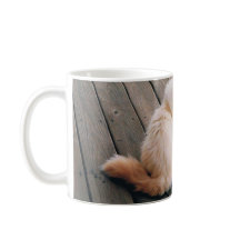 Mug con gato persa