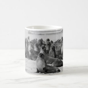 Taza De Café Mug con la imagen de la colonia de focas en Walvis