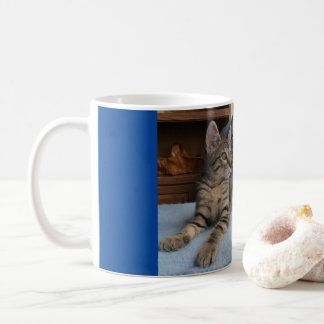Taza De Café Mug con lindo gatito