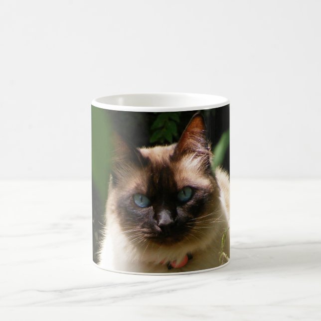 Taza De Café Mug con un gato hermoso (Centro)