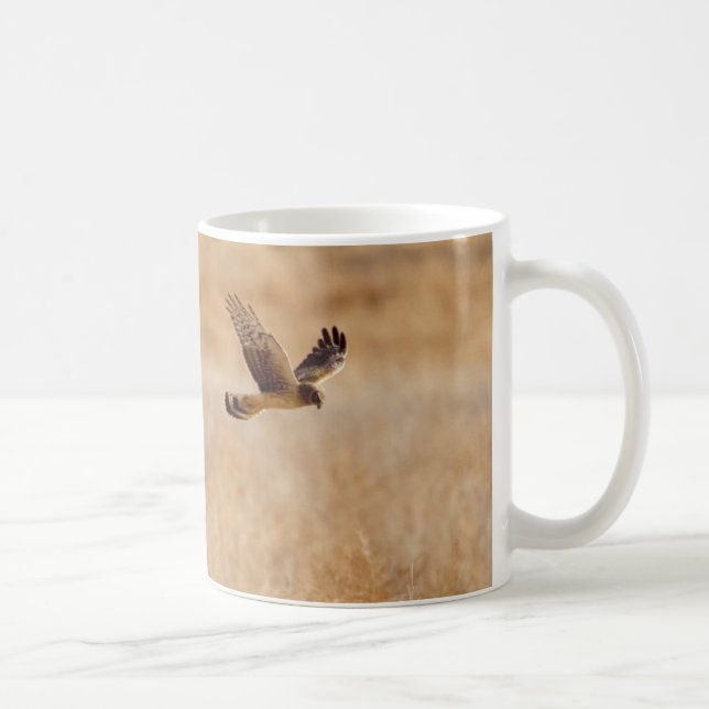 Taza De Café Mug de café de Harrier boreal (Derecha)