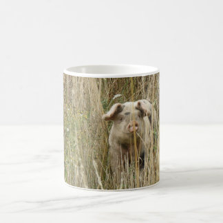 Taza De Café Mug. de cerdo cuasi