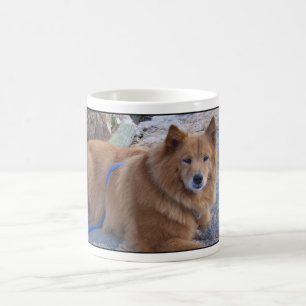 Taza De Café Mug de 'Cindy va a Maine'